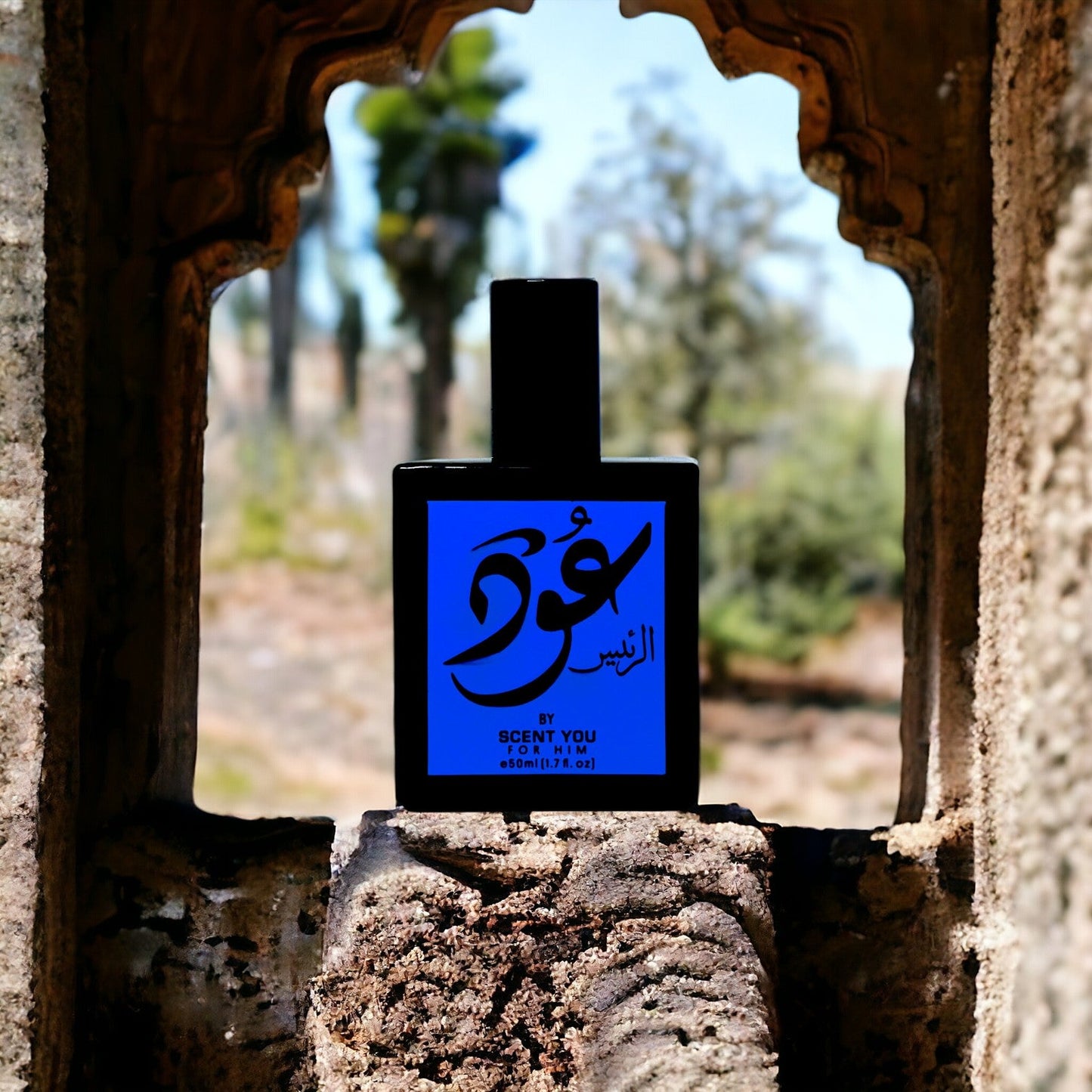 Oud Ar-Raees-50ml | Nearest match to Ameer ul Oud