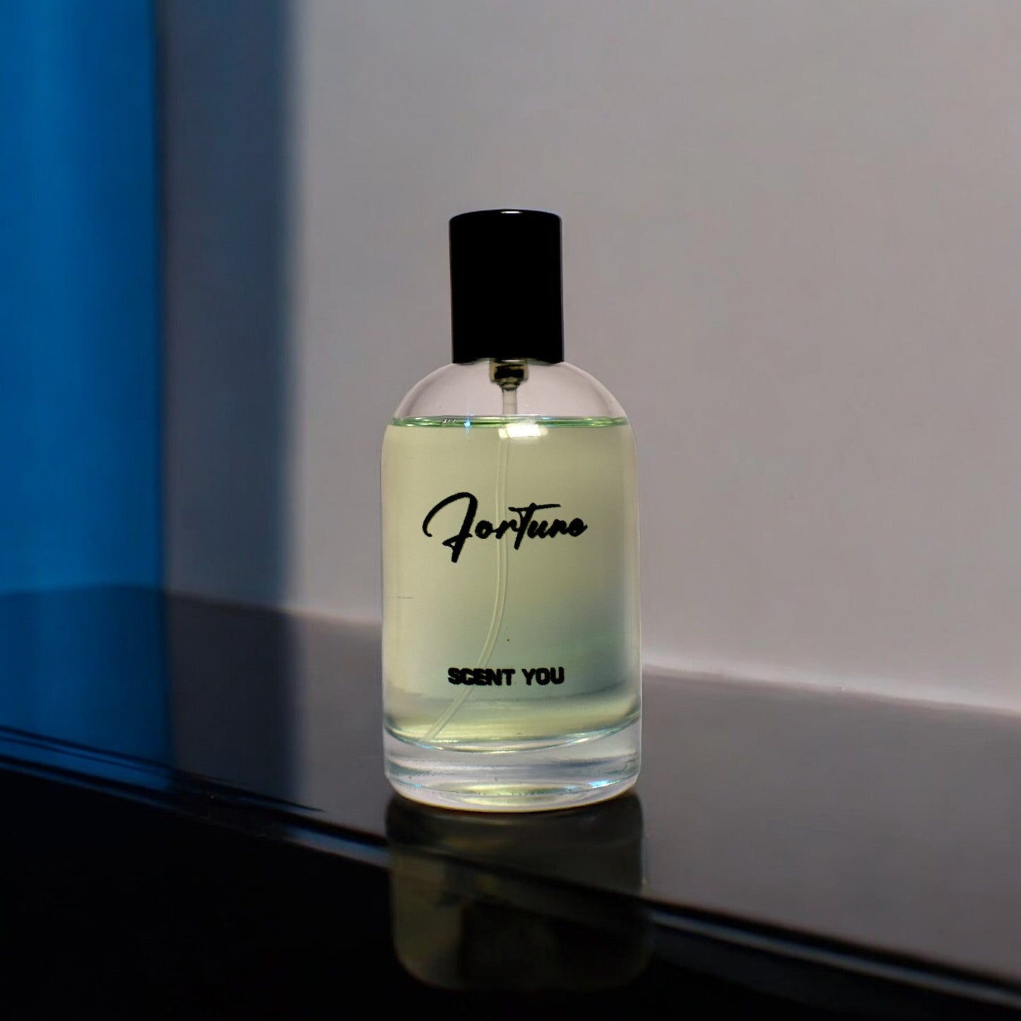 Fortune - 100ml | Nearest Match to Acqua Di Gio by Giorgio Armani